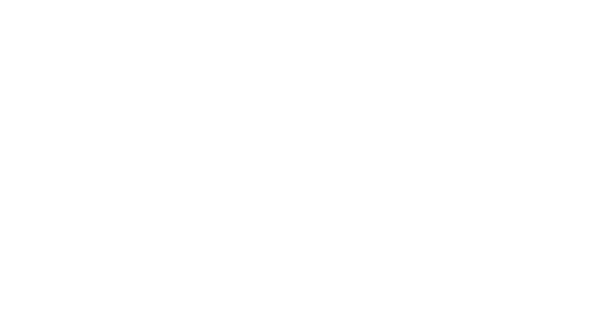 Delfino Real Estate